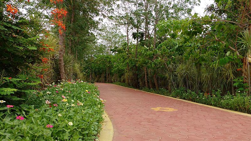 File:Srirangam Butterfly park-Walk way.jpg