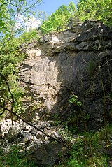 "Holzmühle" quarry