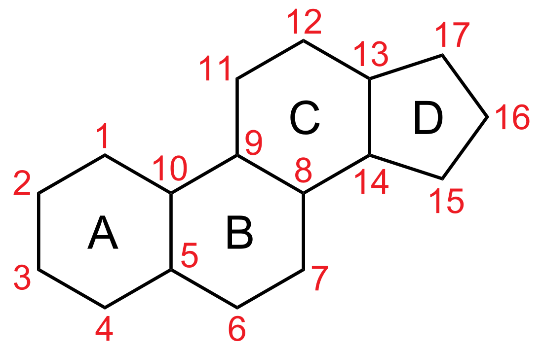 File:Steran num ABCD.svg