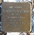 Stolperstein für Adalbert Eckstein