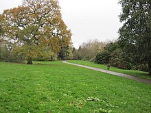 Grassland at Stoneyfields Park Stoneyfields Park.JPG