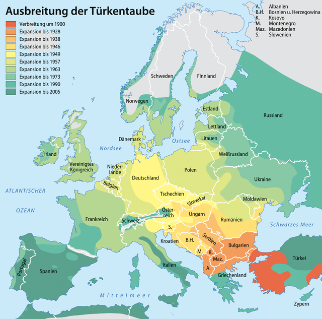 Elterjedési üteme Európában