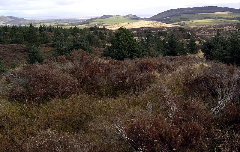 File:Summit of Clawbelly Hill - geograph.org.uk - 1775376.jpg