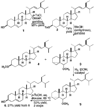 Synthesis of sitosterol.gif