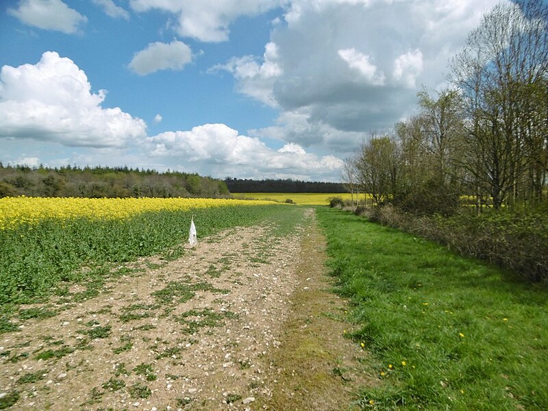 File:Tarrant Monkton, farm track - geograph.org.uk - 4926521.jpg