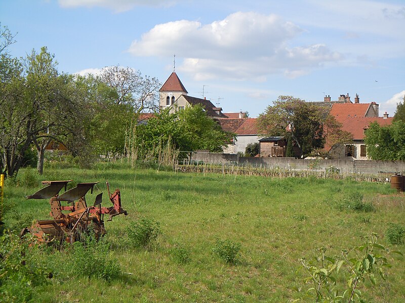 File:Terrains agricoles à proximité du Jardin Public du Clos du Roy à Chenôve.JPG