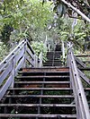 Looking up the Filbert Steps, just one of the city's many charming stairways