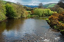 The Rheidol near Capel Bangor in spring