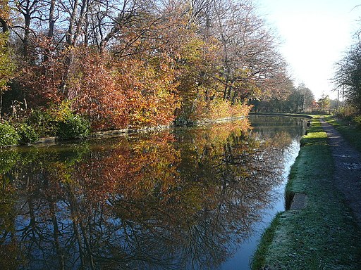 The Trent ^ Mersey Canal south of Marbury Country Park - geograph.org.uk - 2161513