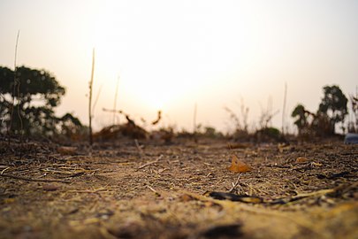 The harmattan horizon.jpg