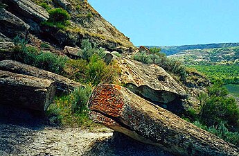 Theodore Roosevelt National Park