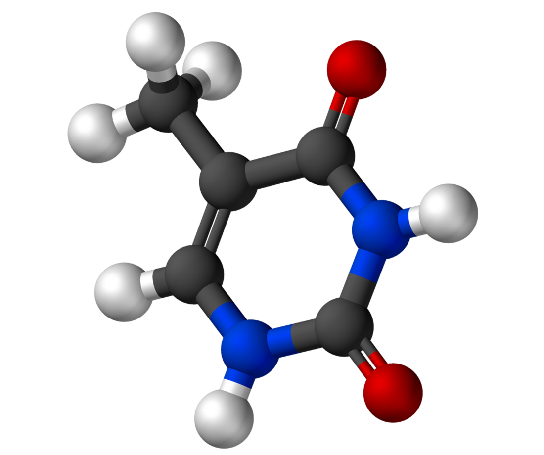 File:Thymine-3D-balls.png