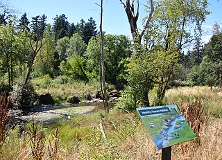 Tideman Johnson Natural Area Public park in Portland, Oregon, U.S.