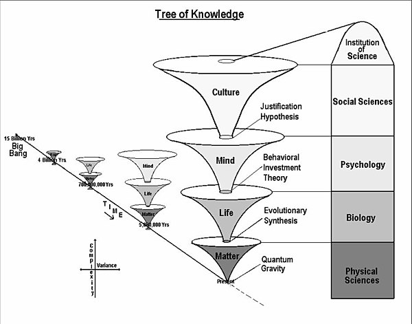 An exemplary visualization of a conception of scientific knowledge generation structured by layers, with the "Institution of Science" being the subject of metascience.