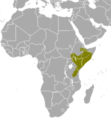 Tragelaphus imberbis map.png