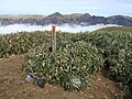 2015年6月11日 (木) 13:43時点における版のサムネイル