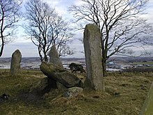 Tyrebagger Stone Circle - geograph.org.uk - 257895.jpg