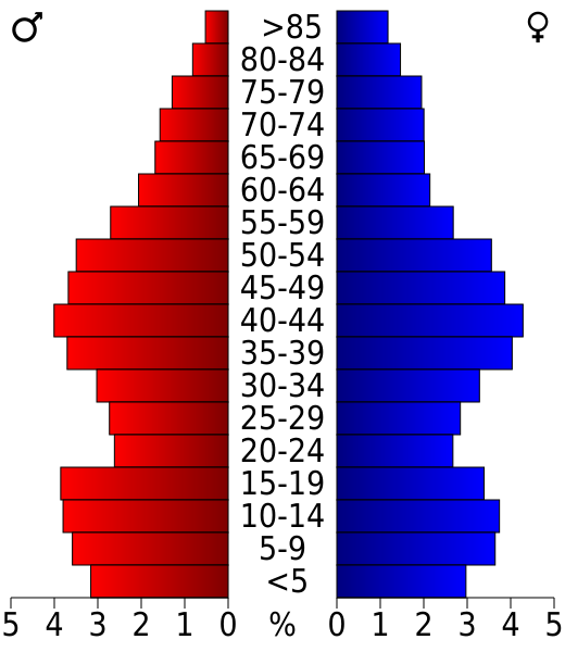 File:USA Salem County, New Jersey age pyramid.svg