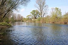 Der Neckar bei Untereisesheim