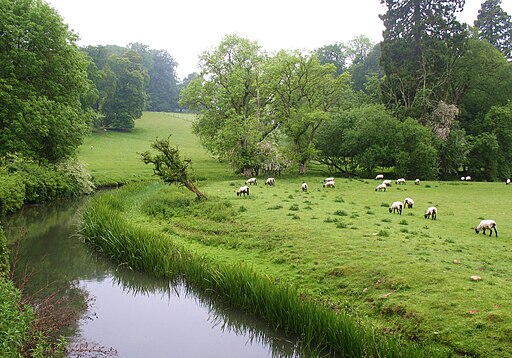 Upstream along the Coln - geograph.org.uk - 1898335