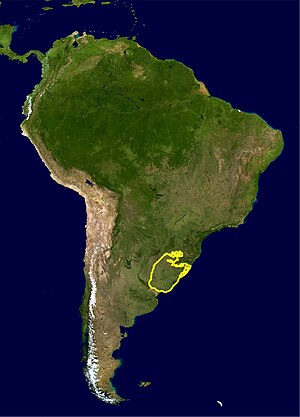 Уругвайская саванна ecoregion.jpg