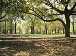 Old Campus District, University of South Carolina