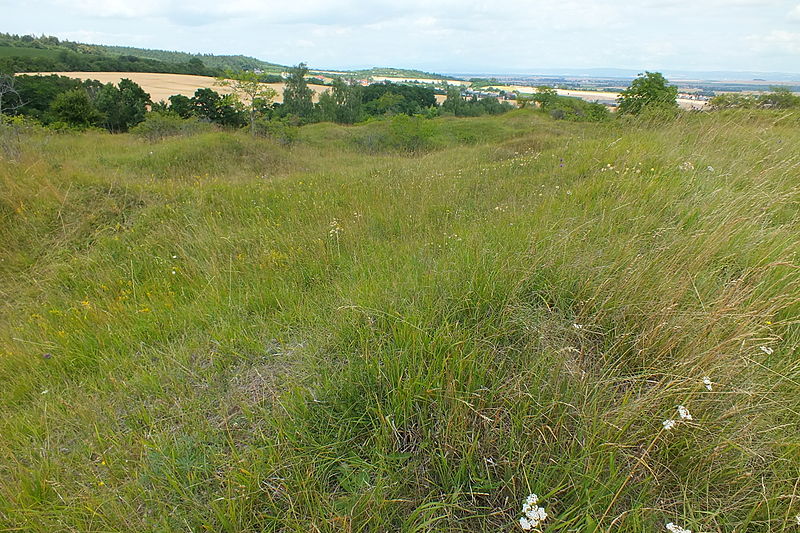 File:Vápenice – natural monument 07.jpg