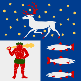 File:Västerbottens län vapenflagga.svg