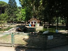 La pineta di Ponente