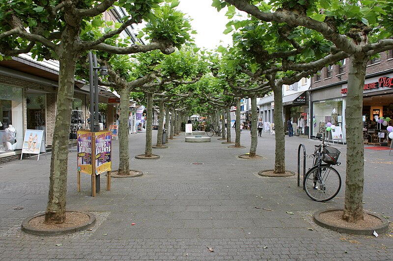 File:Viersen - Hauptstraße 17 ies.jpg