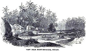 Imatge de Point-De-Galle, Ceylon (1847)