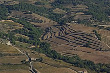 Vignoble en terrasses sur le terroir de Beaumes-de-Venise.