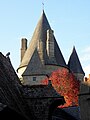 Le château de Vitré : la Tour Saint-Laurent 9 (toiture)