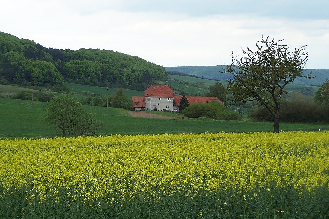 Schrapfendorf