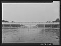Washington, D.C. Lincoln Memorial lagoon, showing corridors8c28478v.jpg