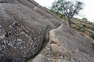 Zisterne: Einsatzbereich, Ausführungen, Wasserqualität