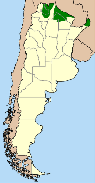 File:Yaguareteargentina.PNG