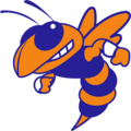 Yellow Jacket Mascot