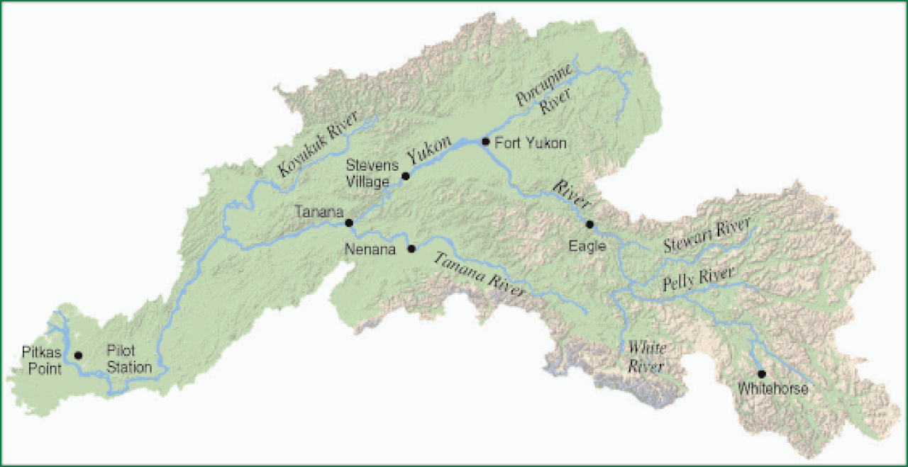 Бассейн реки Юкон. Река Юкон на карте. Река Юкон на карте с притоками. Река Юкон на карте США.