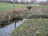 Wahrscheinlich Mündung des "Wüster Berg-Baches" in den Zschonerbach