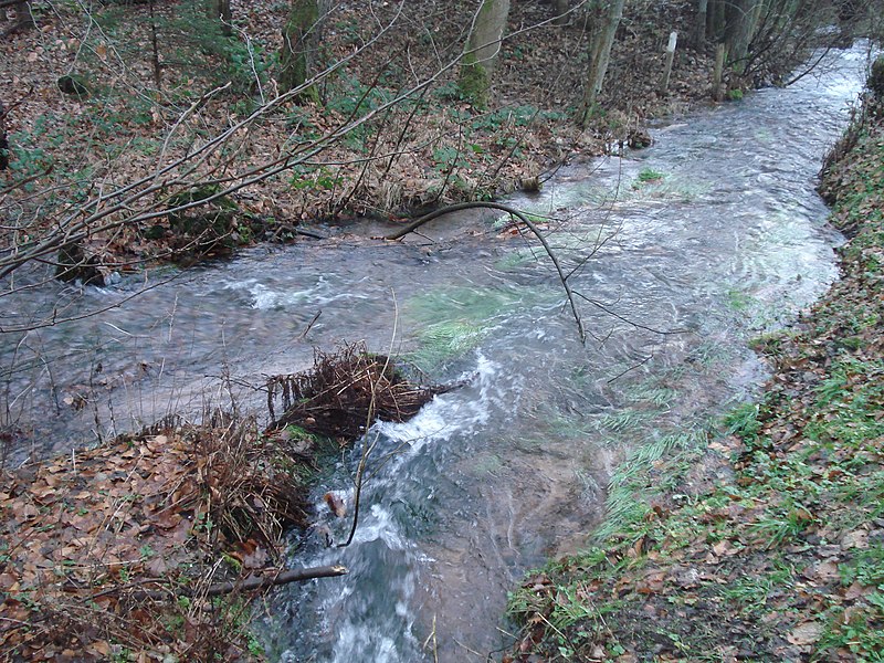 File:Zusammenfluss Kahlbäche.JPG