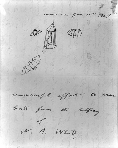 File:"Unsuccessful effort to draw bats from the belfry of W.A. White" A sketch by Roosevelt prefacing a letter of January 1, 1917, to the editor of the Emporia Gazette. LCCN2010645544.jpg