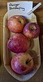 Alte Apfelsorten, von denen es im Badischen noch tragende Bäume gibt. Alle Aufnahmen aus dem September 2023 auf dem Obstparadies Staufen