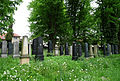 Čeština: Židovský hřbitov v Havlíčkově Brodě, kraj Vysočina. English: Jewish cemetery in the town of Havlíčkův Brod, Vysočina Region, Czech Republic.