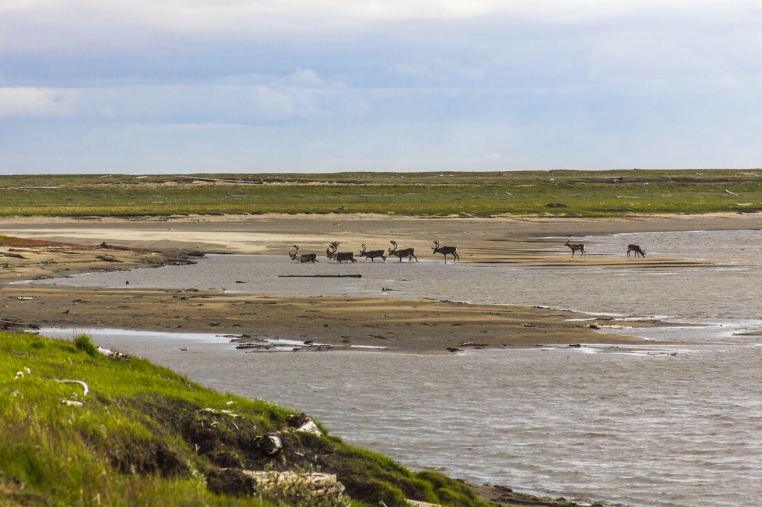 Lena Delta Wildlife Reserve