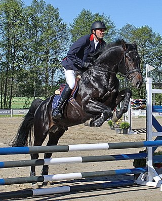 <span class="mw-page-title-main">Kamil Rajnert</span> Polish equestrian