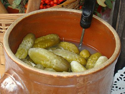 Ogórki kiszone (brine-pickled cucumbers)