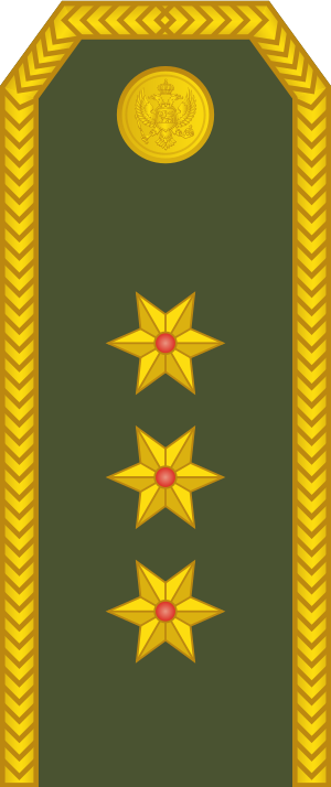 12-Montenegro Army-CPT.svg