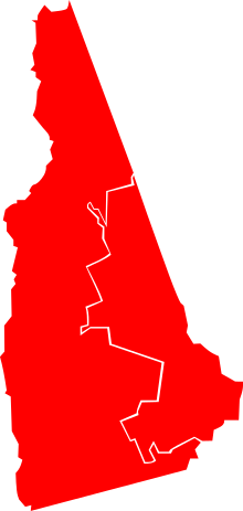 New Hampshire's results 2010 House elections New HampShire.svg