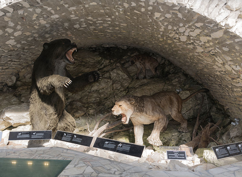 File:2015 Jaskinia Niedźwiedzia w Kletnie, modele zwierząt 01.JPG